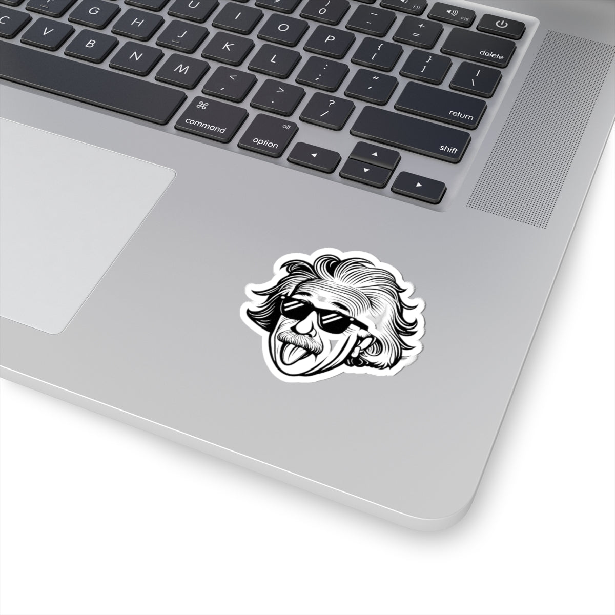 Einstein Kiss-Cut Stickers