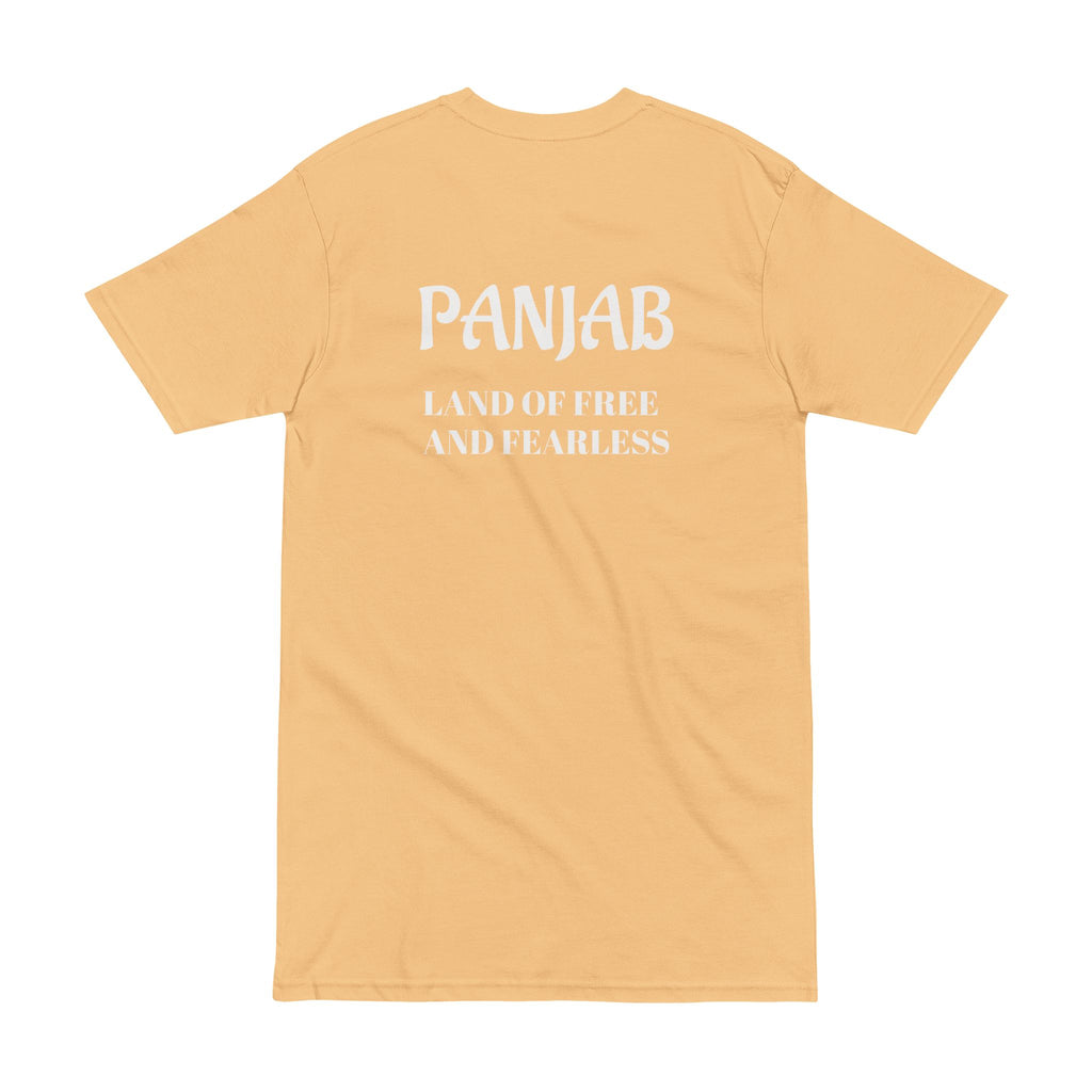 Punjabi Cultural Tee — 'Panjab: Land of Free and Fearless' Graphic T-Shirt
