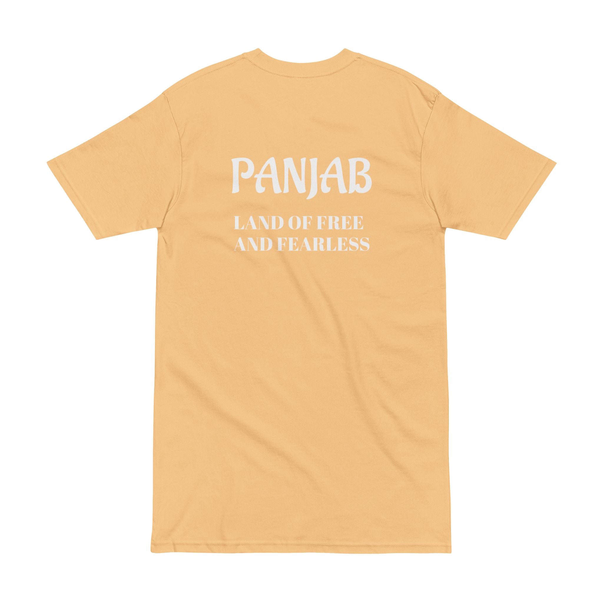 Punjabi Cultural Tee — 'Panjab: Land of Free and Fearless' Graphic T-Shirt