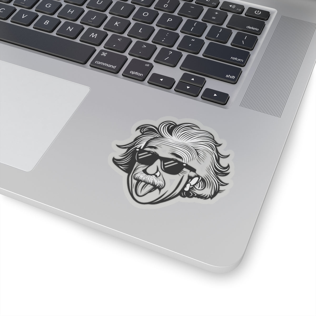Einstein Kiss-Cut Stickers
